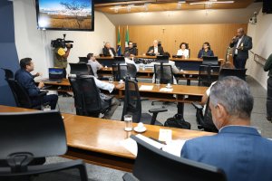 Vale da Celulose transforma leste de MS e impulsiona nova fronteira econômica