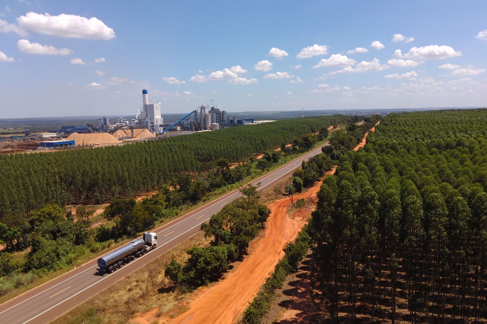 Da muda ao emprego, floresta abre caminhos de trabalho no interior